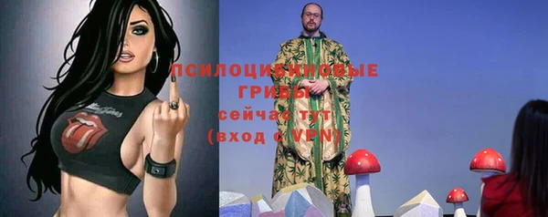 apvp Абдулино