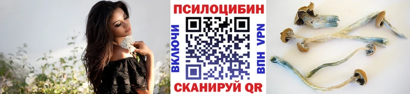 Галлюциногенные грибы ЛСД  купить  сайты  Суздаль 