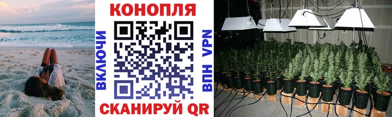 продажа наркотиков  Суздаль  shop Telegram  Бошки Шишки MAZAR 